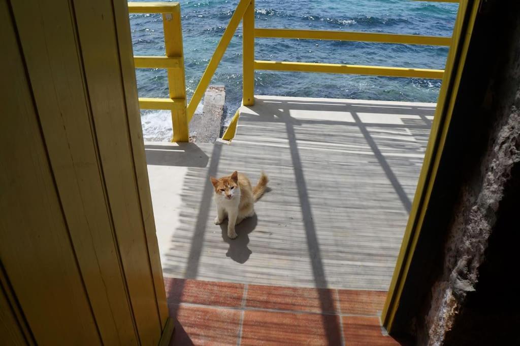 The Yellow Boat House Klima  ภายนอก รูปภาพ